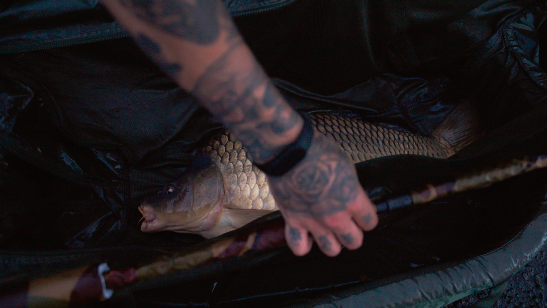 Carp Fishing at Hurlston Hall Fishery, Ormskirk – Our Approach, Tactics & Results
