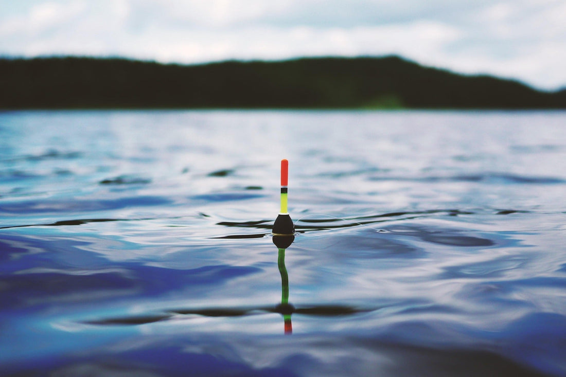 The Ultimate Guide to Float Fishing on Lakes and Ponds: Techniques, Tackle, Baits &amp; Tips for Roach, Tench, Bream, Perch and Carp