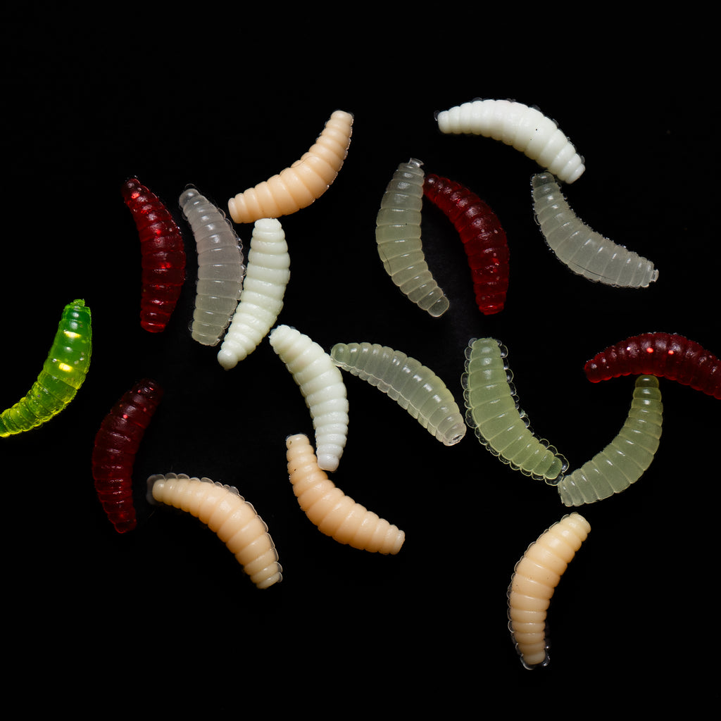 Maggots