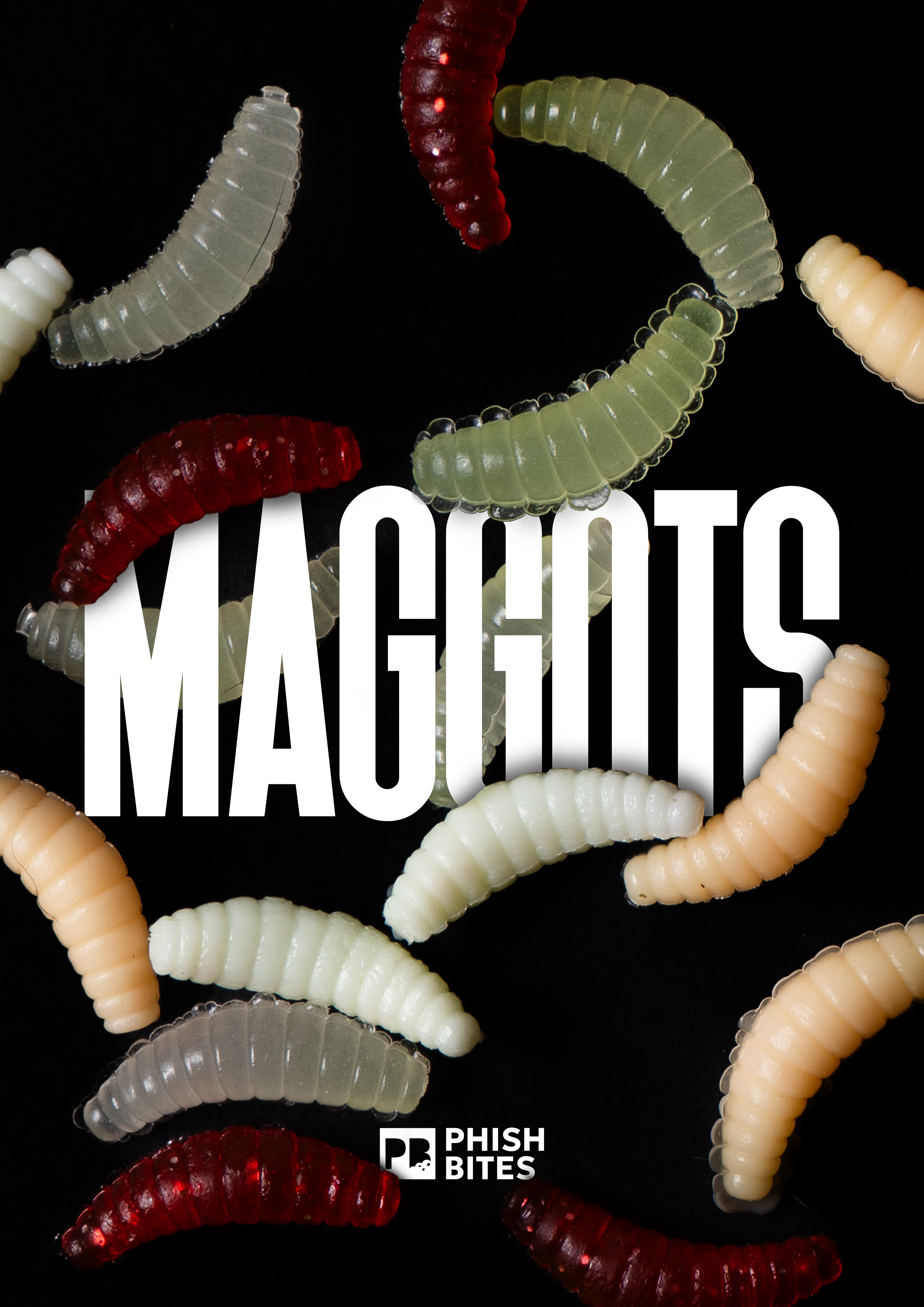 Maggots